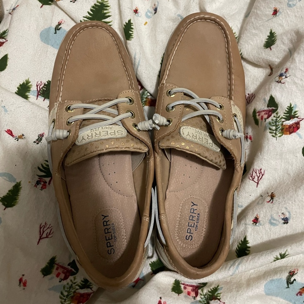 Brand new Sperry topsiders.  Do not have the box.  They have never been worn